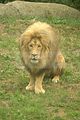 leipzig zoo-01_07_2011_zoo_allgemein_254